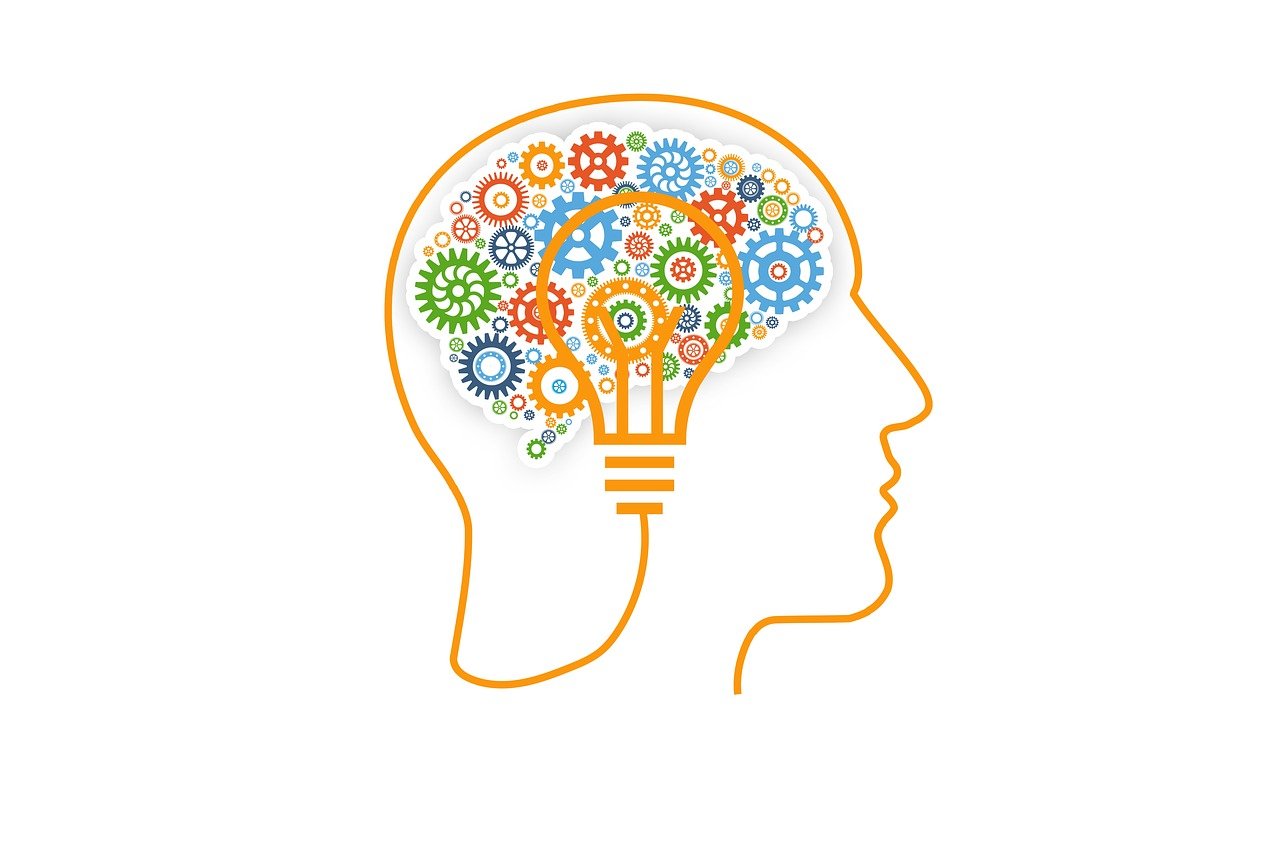 Brain